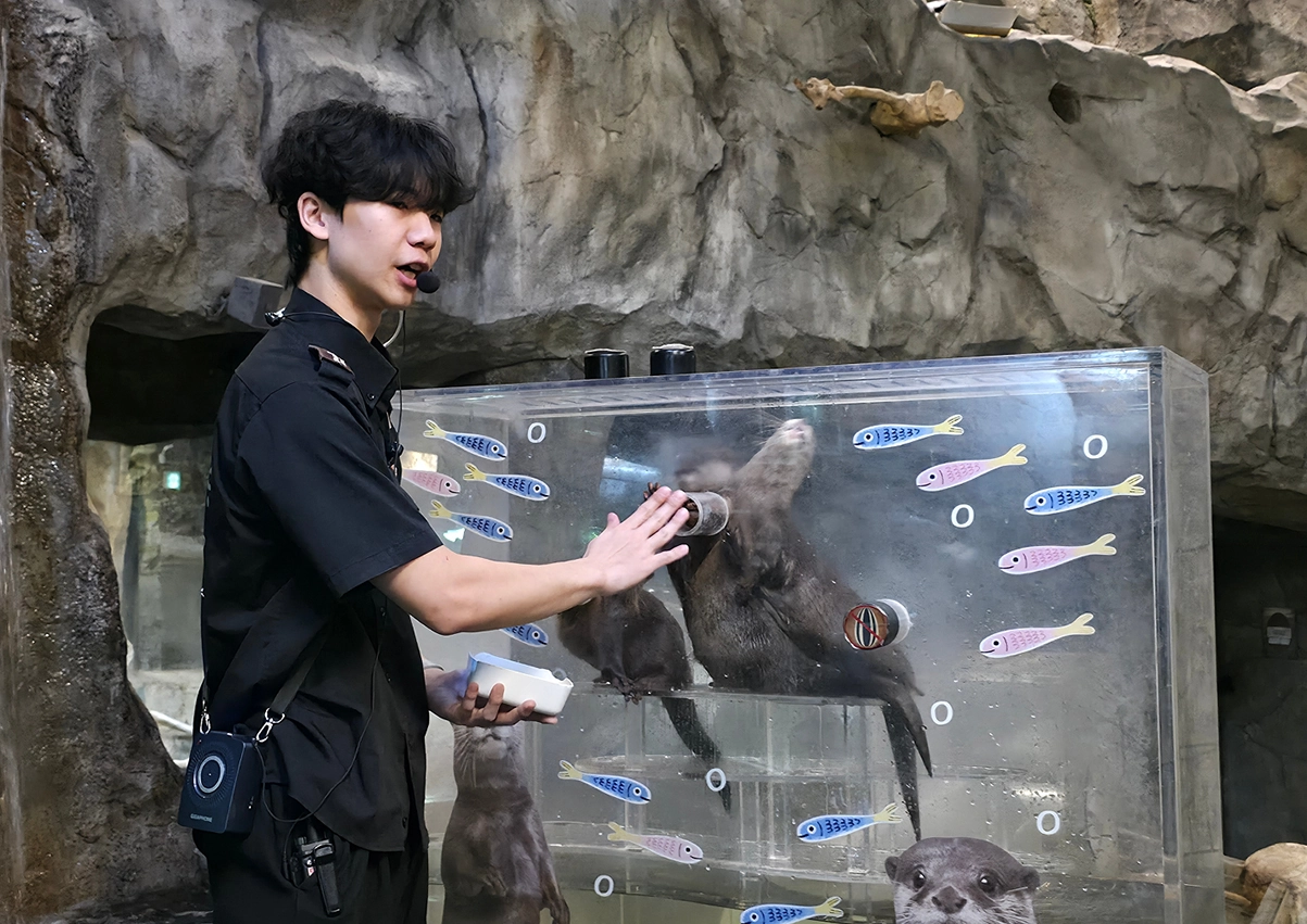 작은발톱수달 간식교감