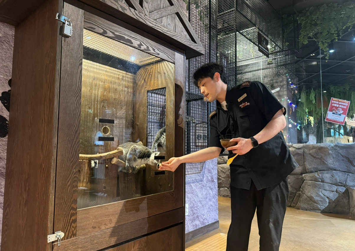 알락꼬리여우원숭이 간식교감