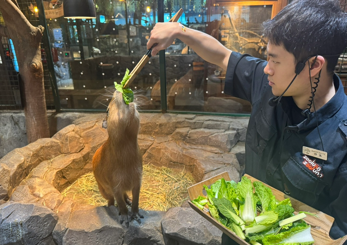 카피바라 간식교감